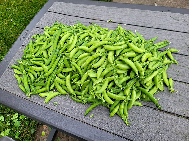 (2) Gardening Services