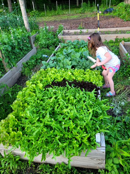 (2) Gardening Services